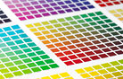 Paints & Coatings